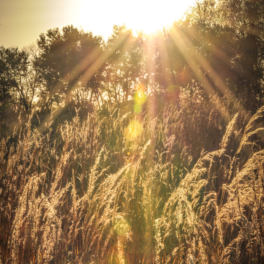 Group Retreats – Prairiewoods Franciscan Spirituality Center