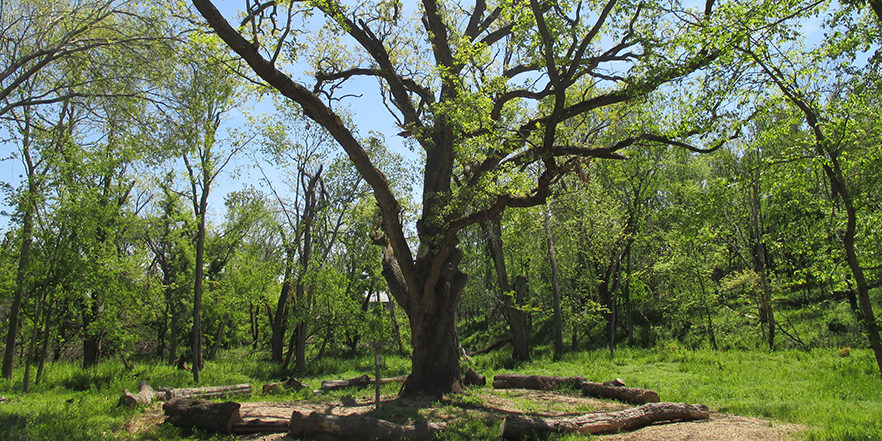 On The Power Of Rest And Retreat: Franciscan Spirituality And An ...