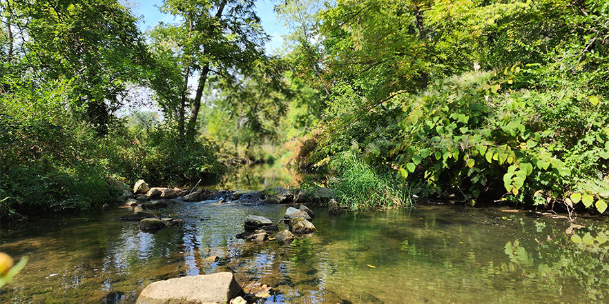 Spiritual Contemplation – Prairiewoods Franciscan Spirituality Center