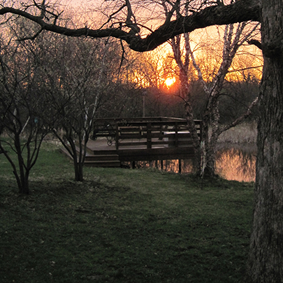 Silent Mindfulness Meditation